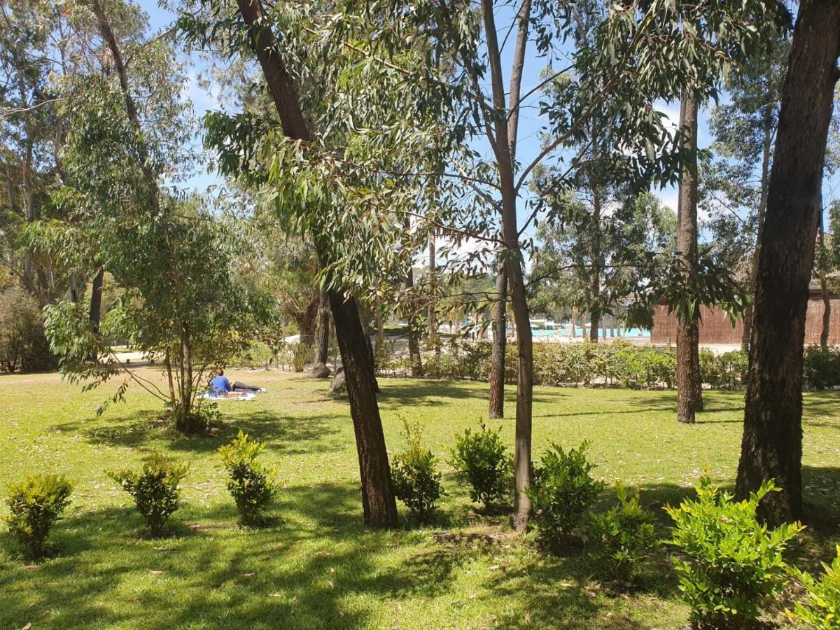 Punta Del Este, Forest Lagoon, Luxury מראה חיצוני תמונה